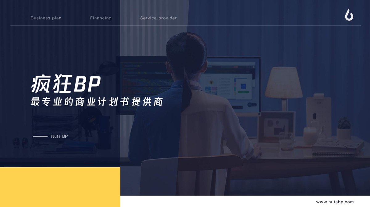 疯狂BP · 最专业的商业计划书提供商